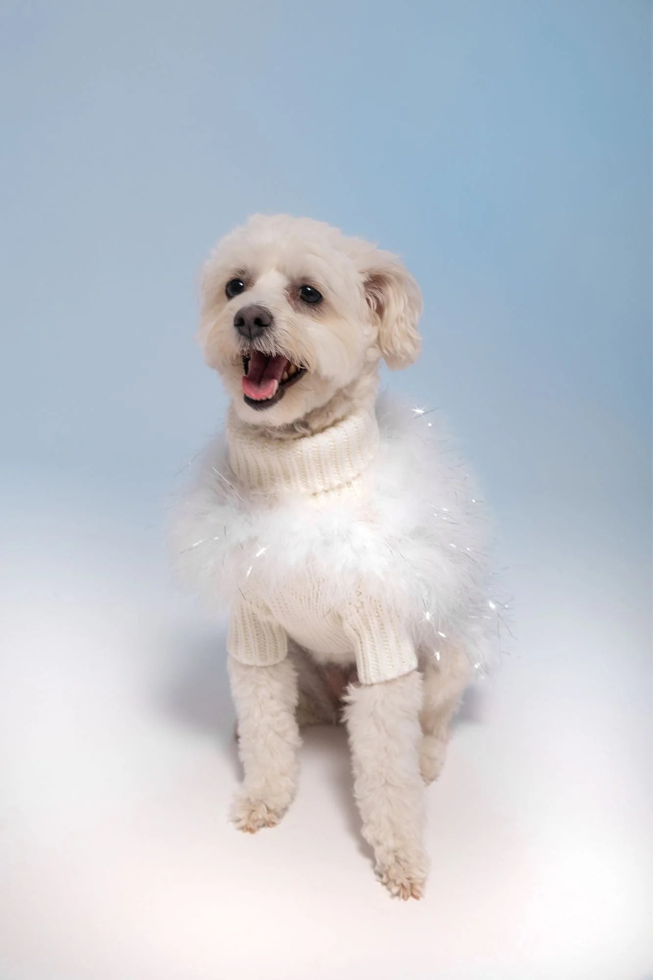 Christian Cowan Holiday Glitz Jumper