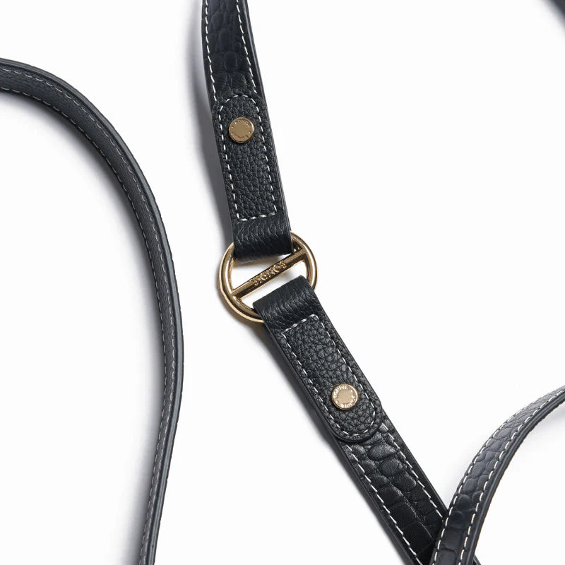 Obsidian Hands-Free Dog Leash