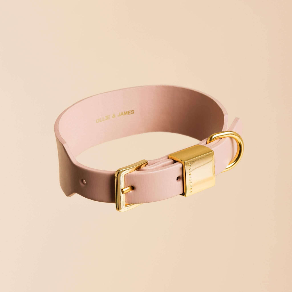 Blush Dog Collar & Lead Set