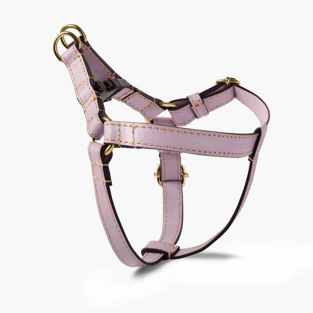The Lavender Harness Set