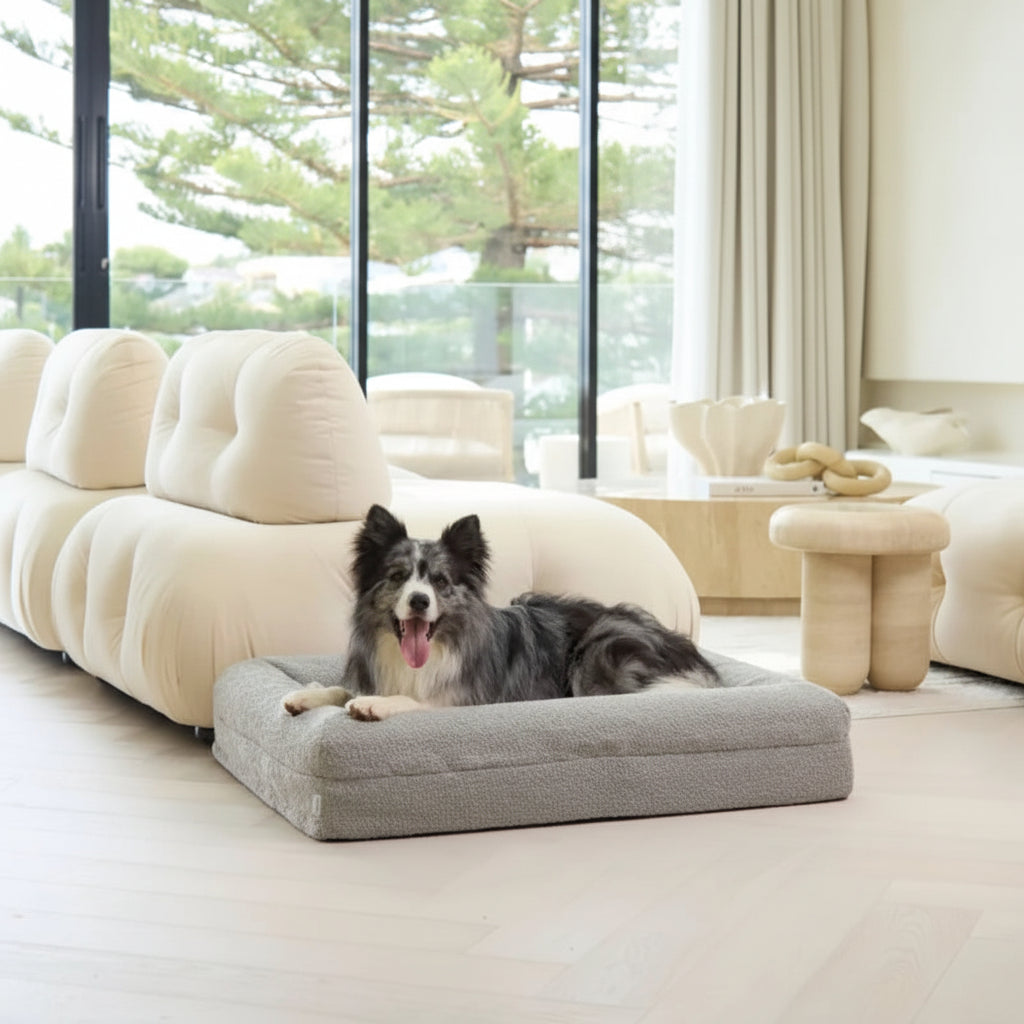 Memory Foam Dog Bed - Bouclé Pebble