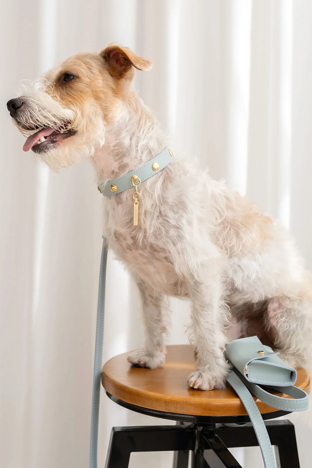 Sky Blue Leather Nara Dog Collar