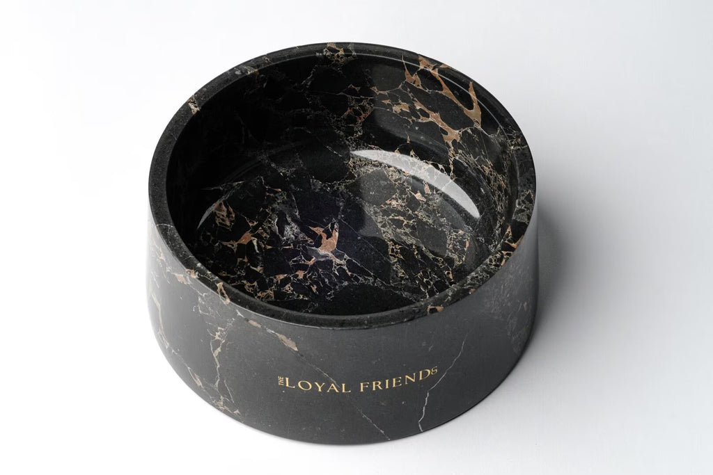 Portoro Gold Marble Pet Bowl: Luxury Dog Bowl