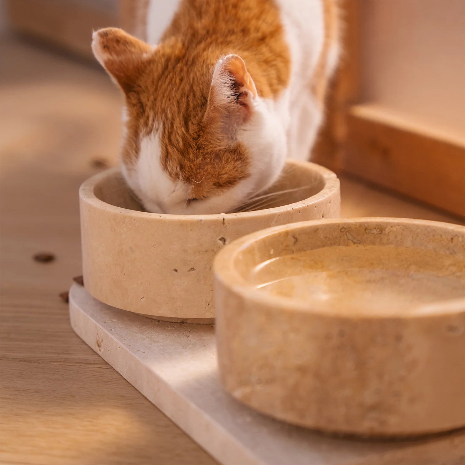The Travertine Pet Bowl Set