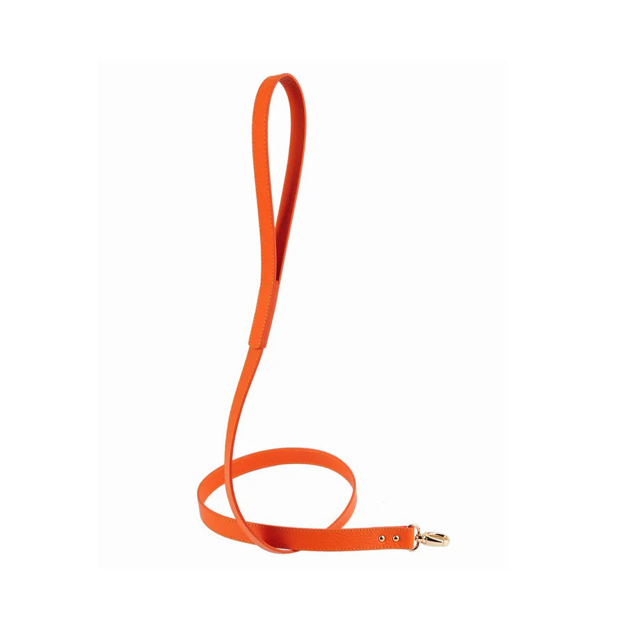 Balley Dog Leash by Moshiqa