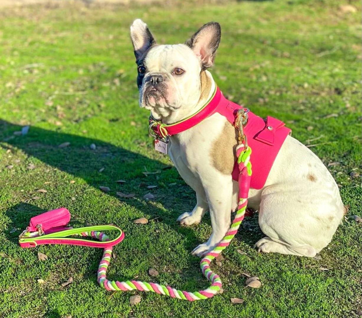 Handcrafted Leather Harness