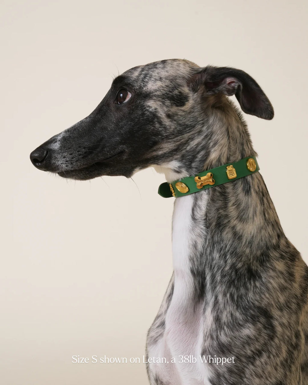 Athlete Collar