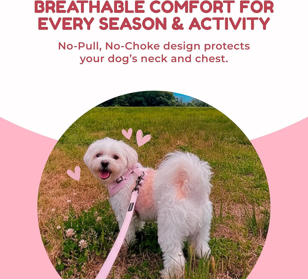 Signature No-Pull Puppy Harness & Leash Set — Pink Heart Mesh