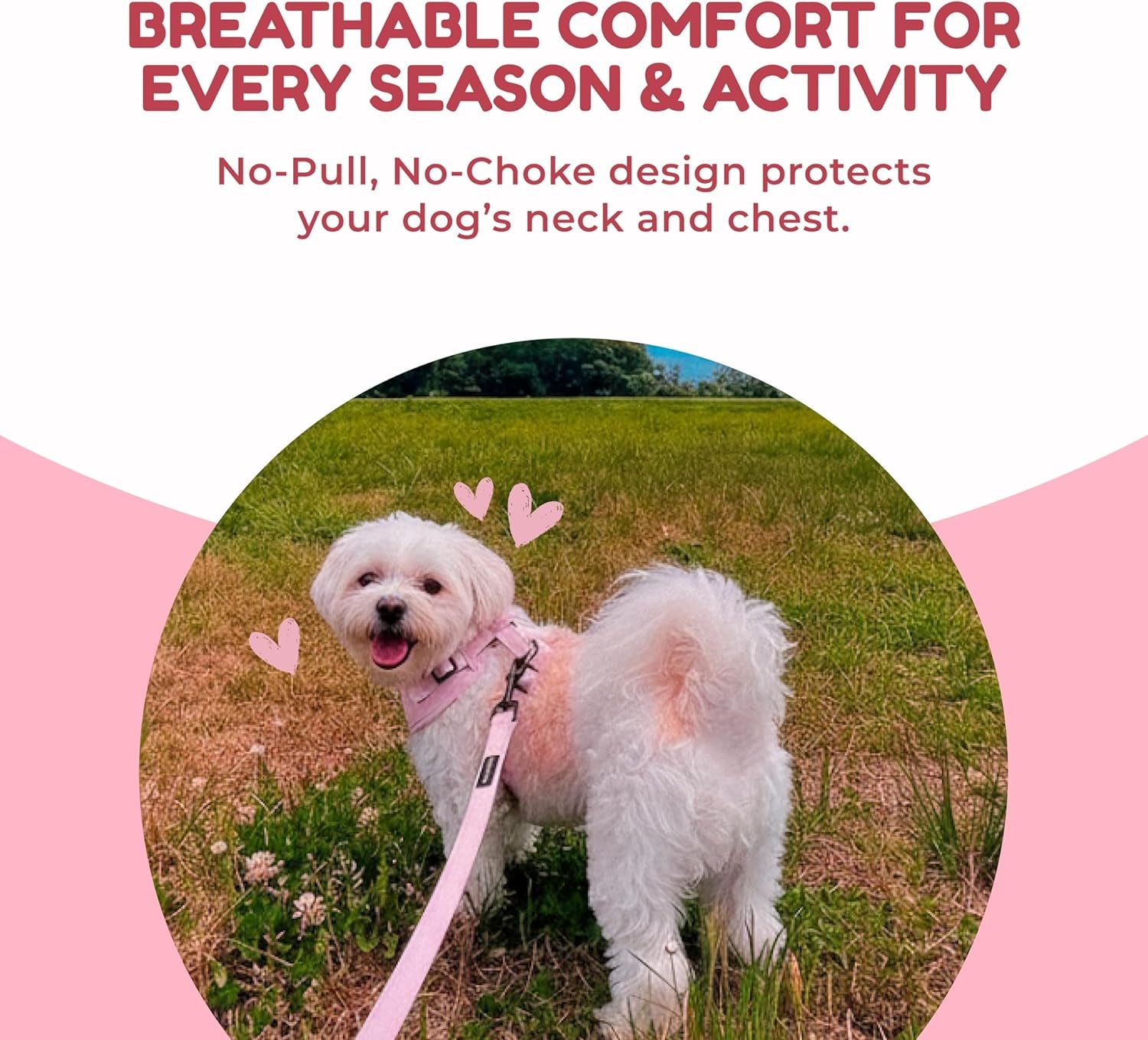 Signature No-Pull Puppy Harness & Leash Set — Pink Heart Mesh