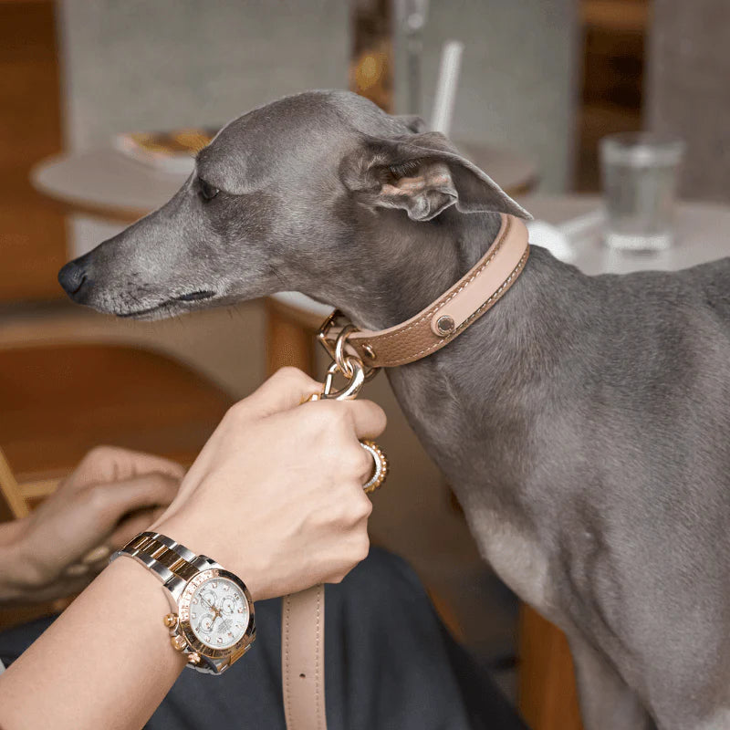 Slim Blushwood Leather Collar