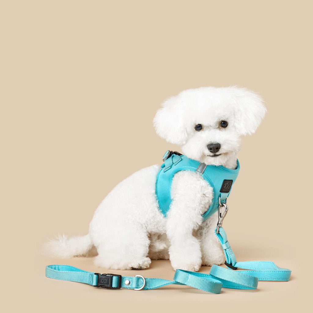 Soho Dog Walking Set - Fifth Avenue