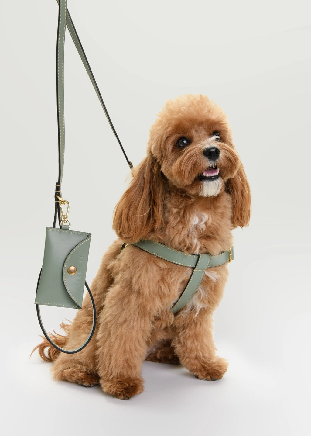 The Salvia Harness Set