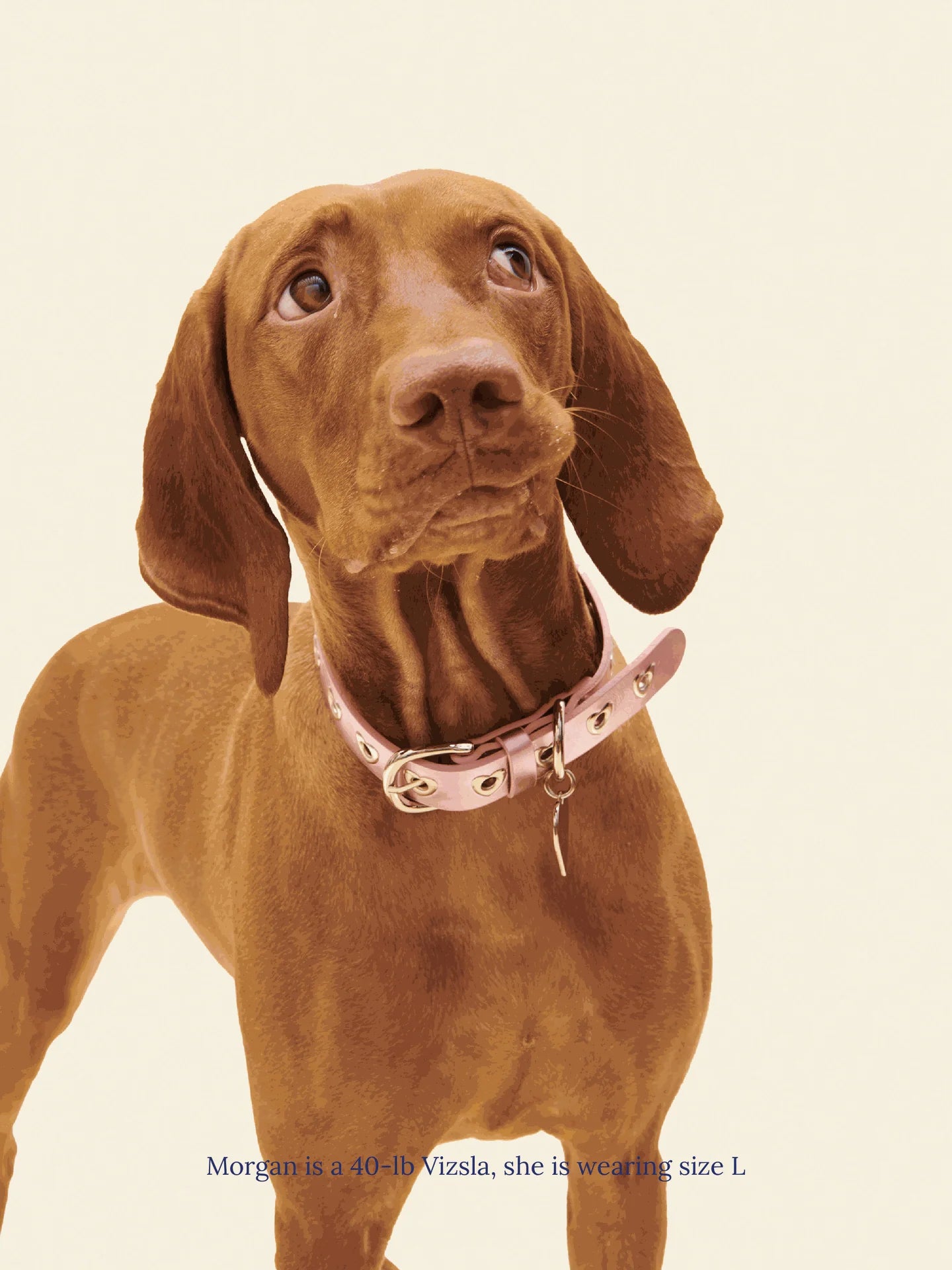 You Mean the World to Me Collar - Metallic Pink