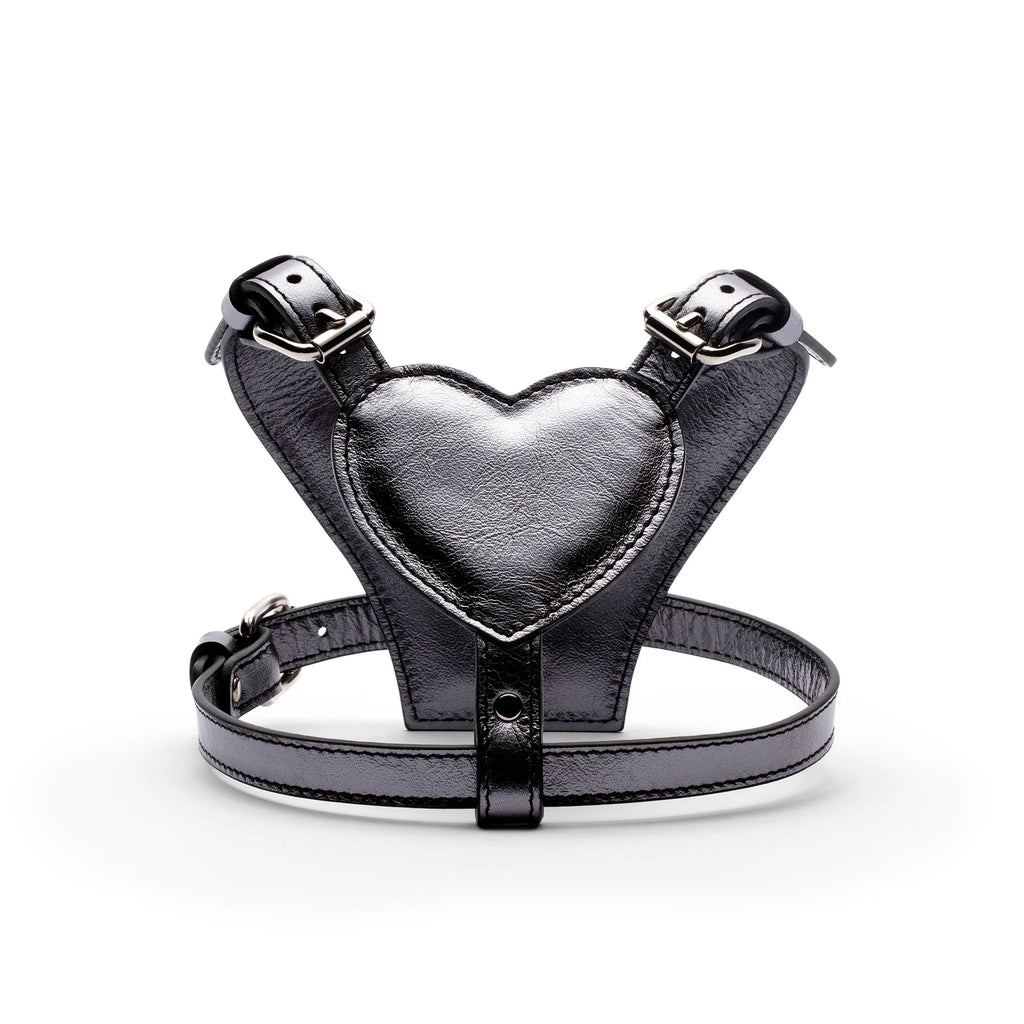 HEART HARNESS