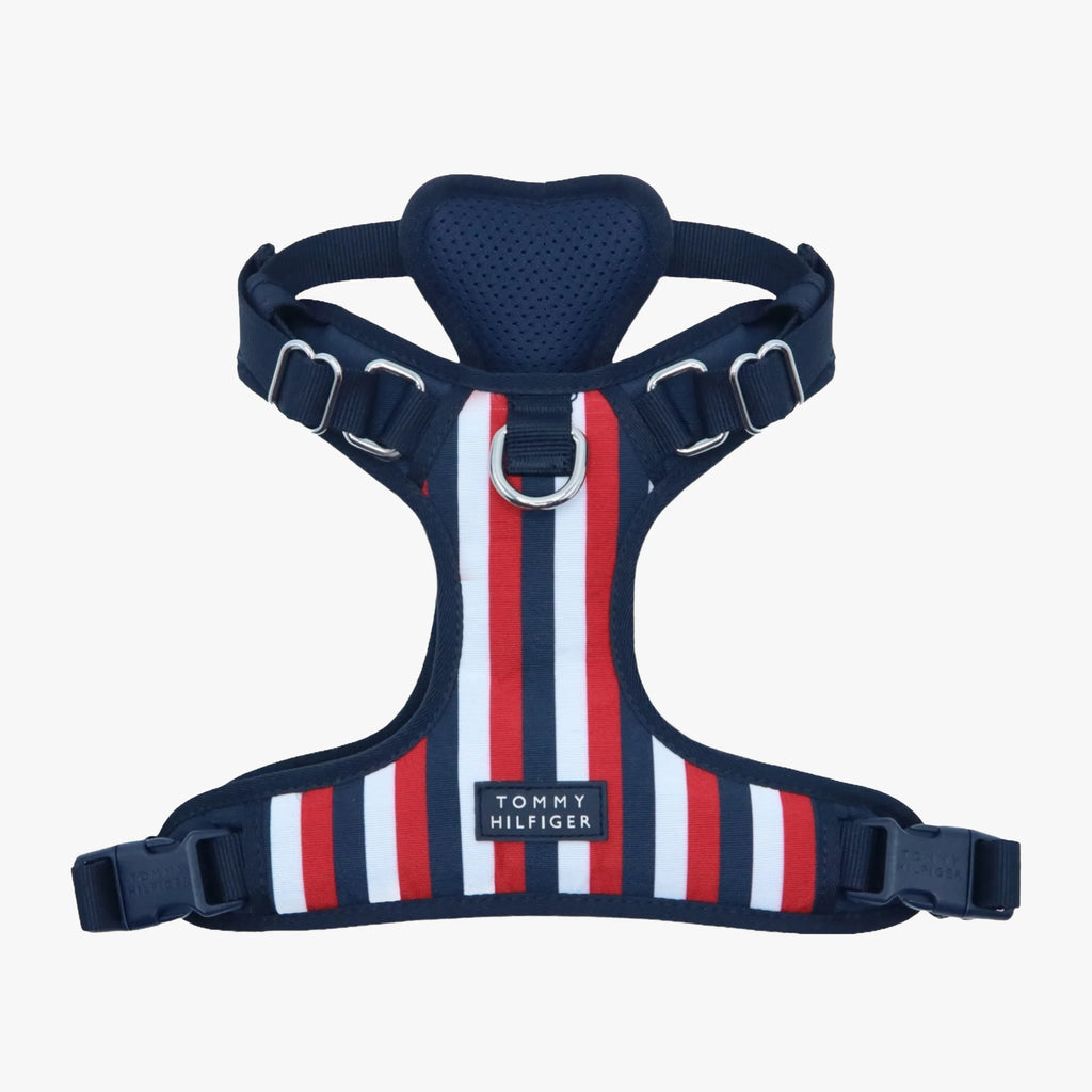 Dog Harness