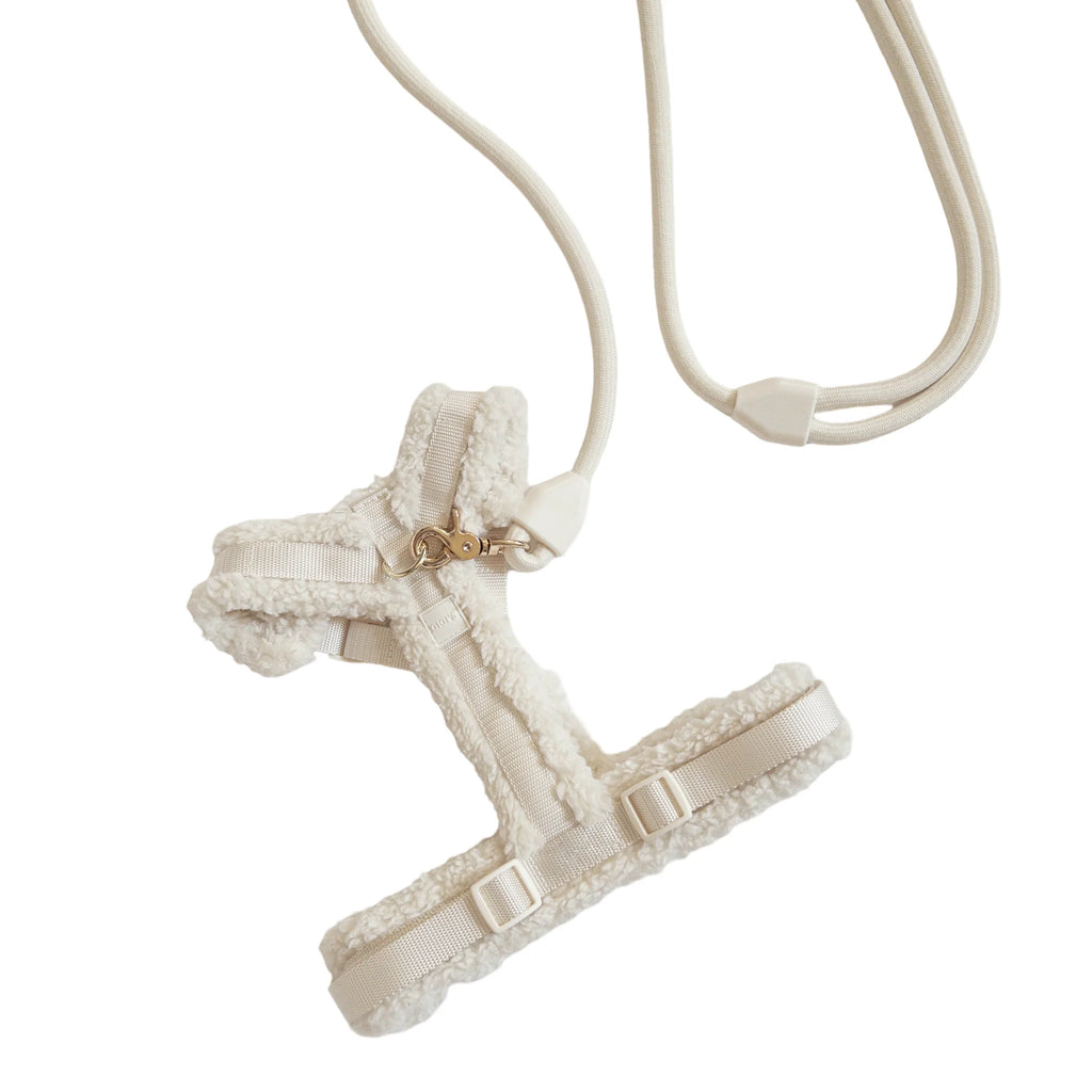 Comfort Teddy Harness & Hands-Free Set - Creamy Cloud