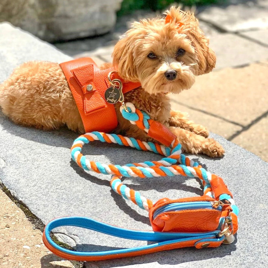 The Braided Rope Leather-Handle Leash