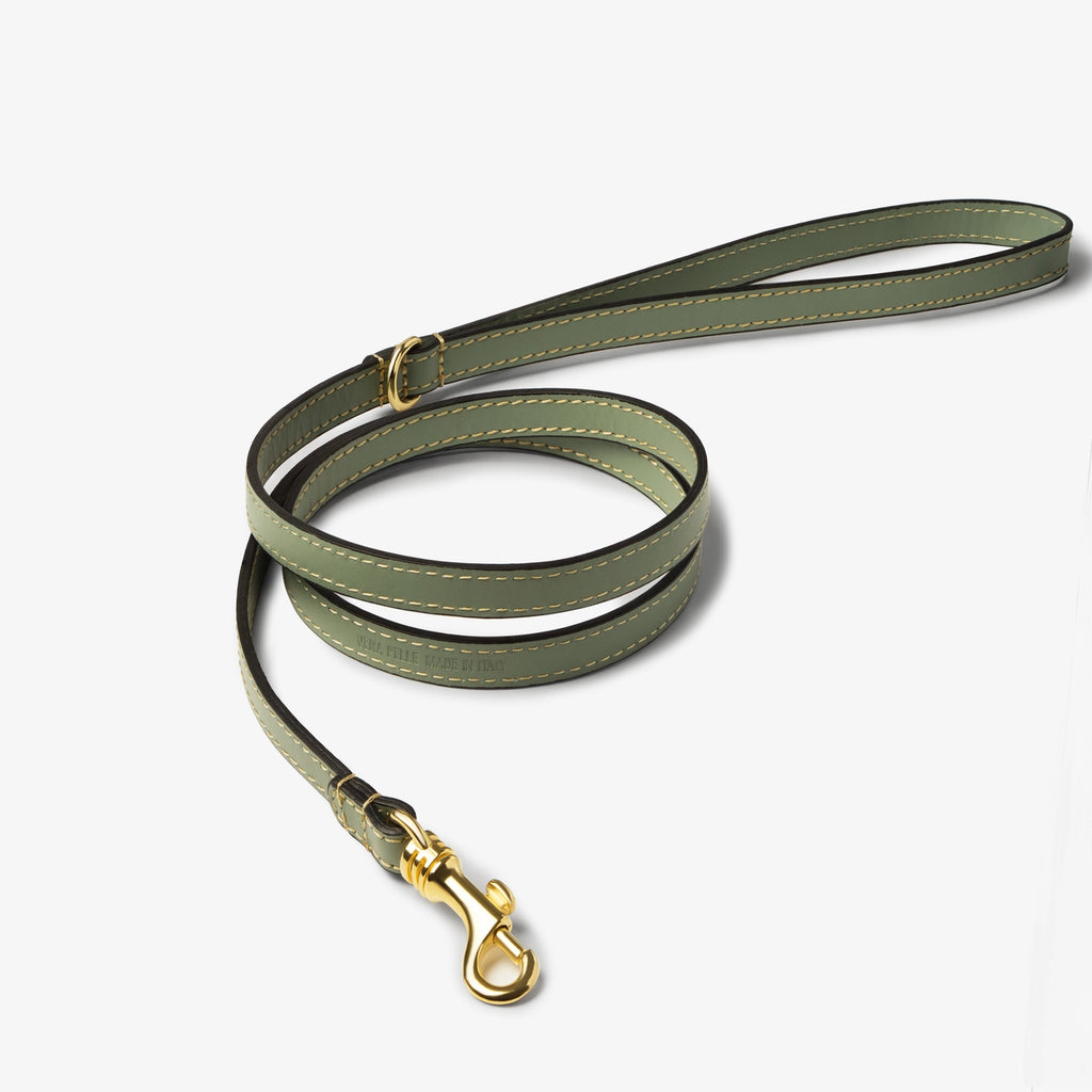 The Salvia Collar Set