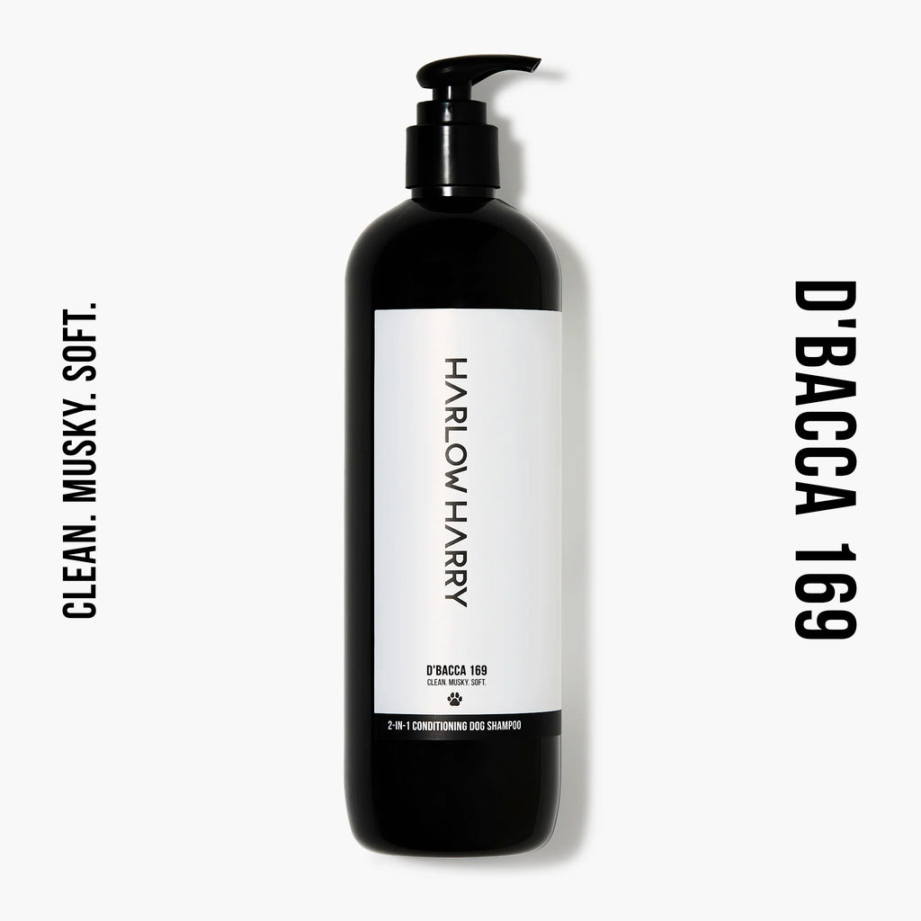 Conditioning Shampoo | D'Bacca 169