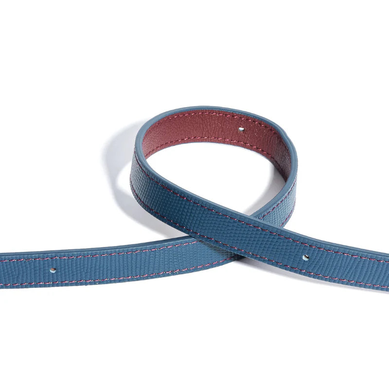 Rosette Leather Dog Leash