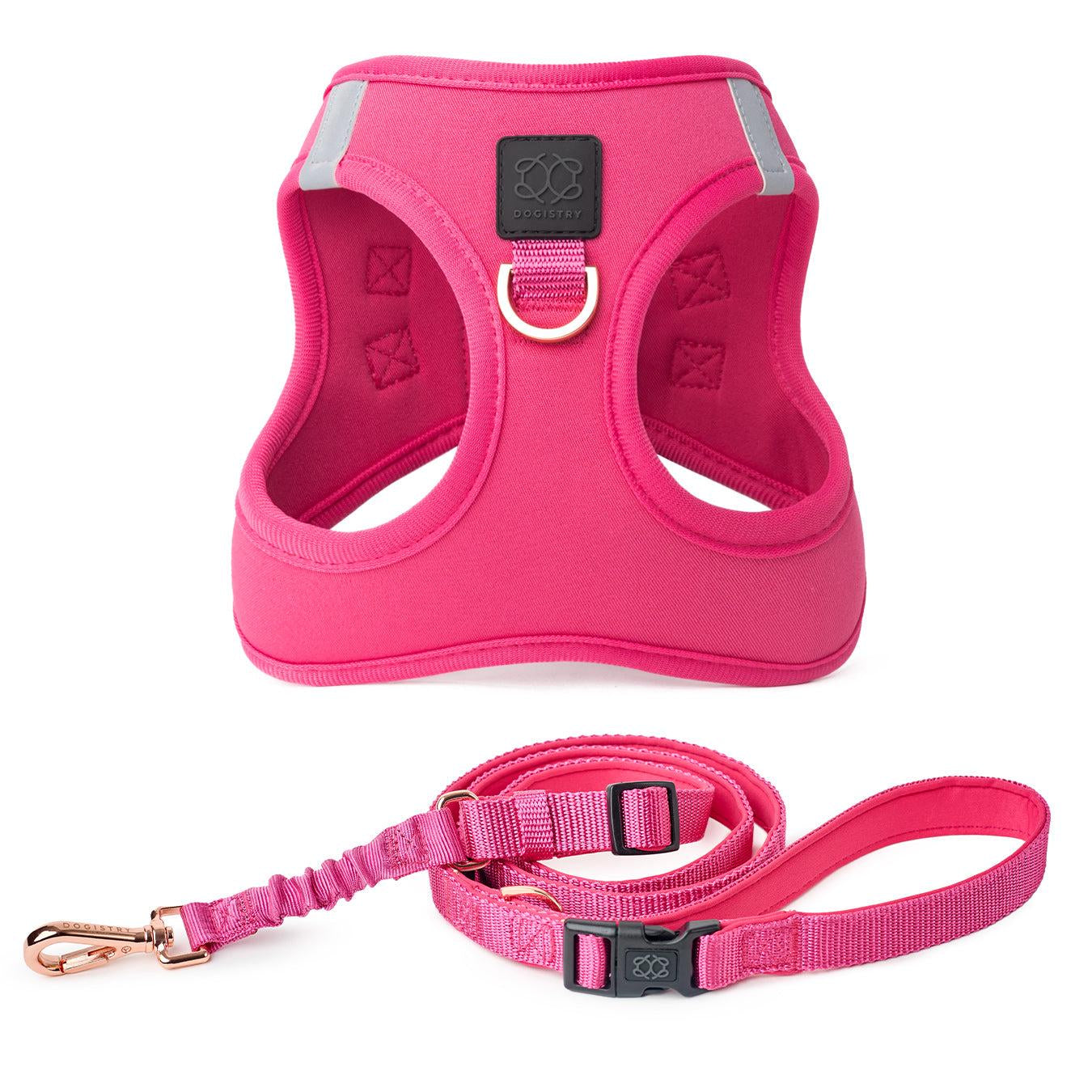 City Leash Set - Park Ave Pink