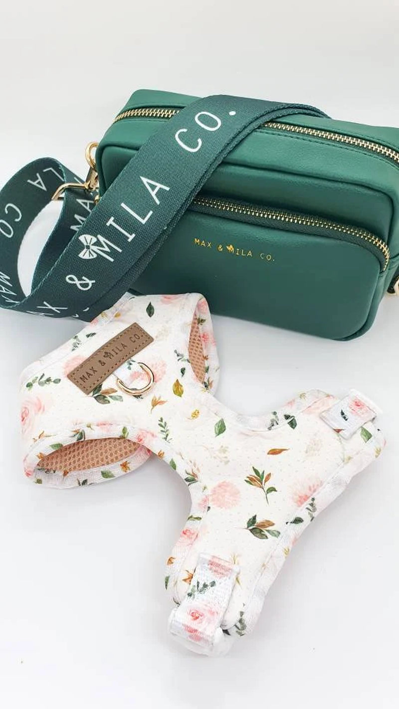 La Vie En Rose Designer Dog Harness Set