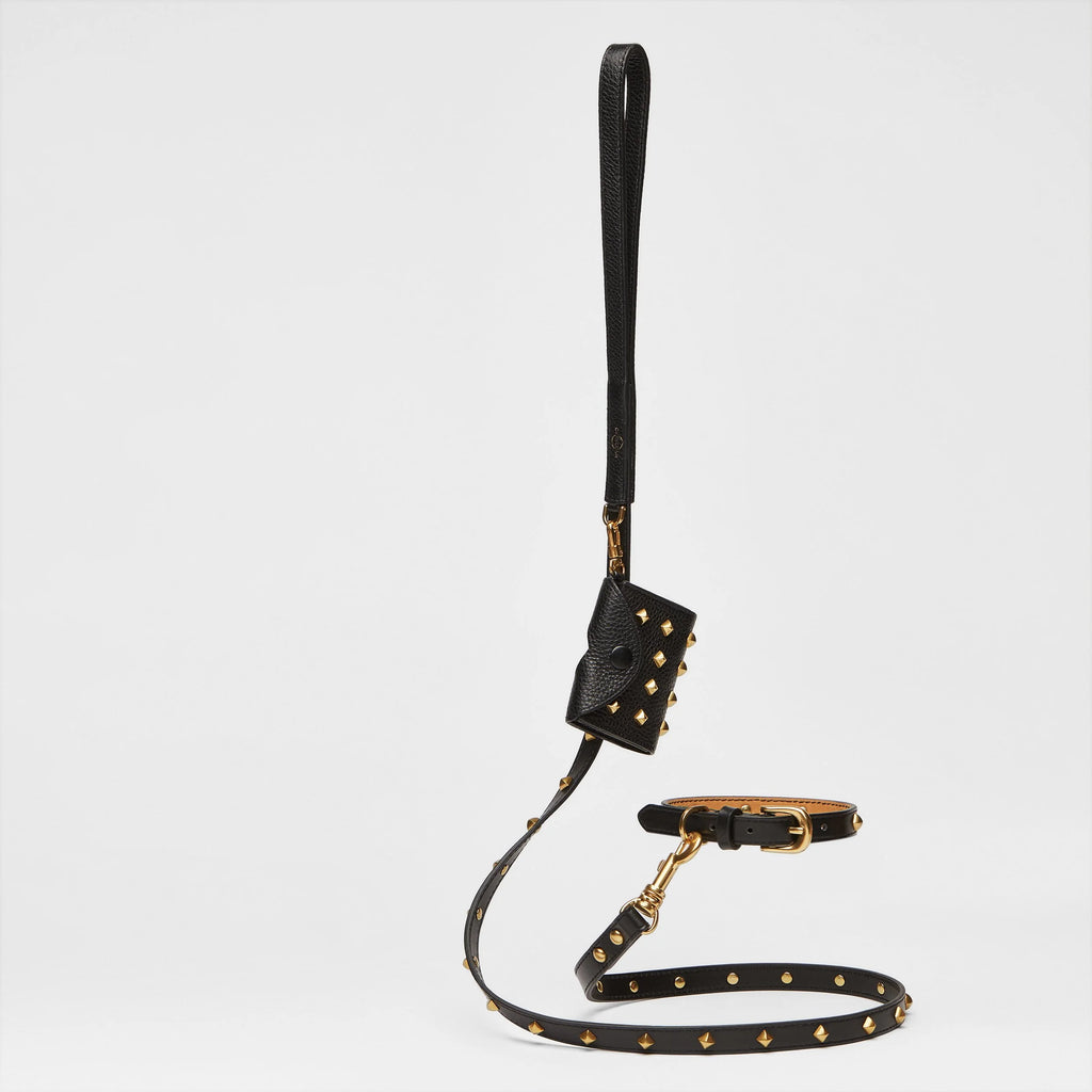 Golden Rivet Leather Lead (Black)