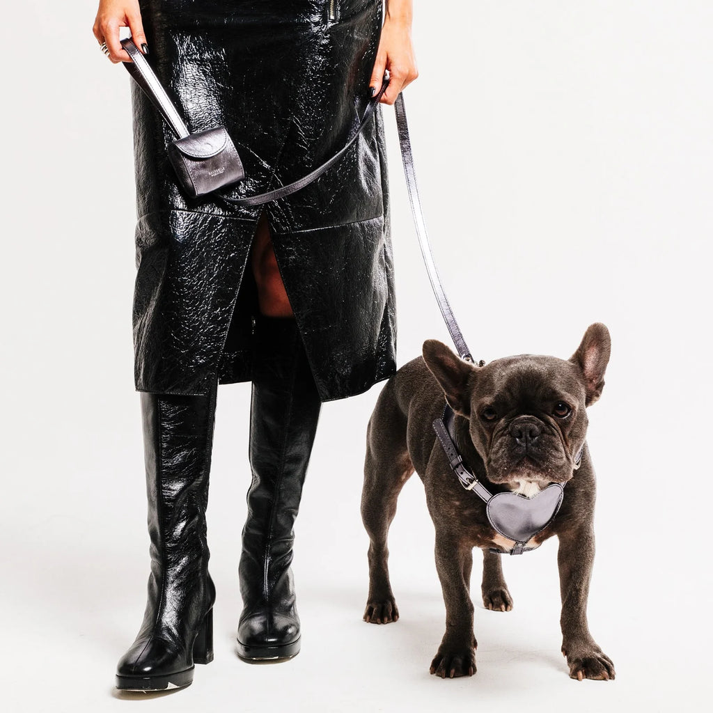 MINIMAL LEASH