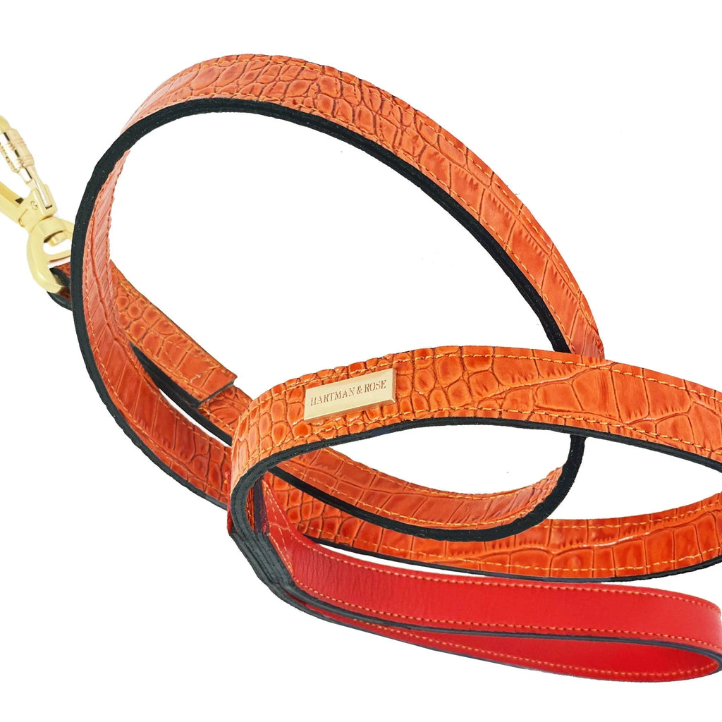 Cayman Dog Leash in Tangerine