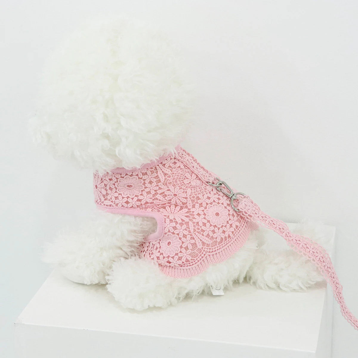 Lace Harness Dress & Leash Set