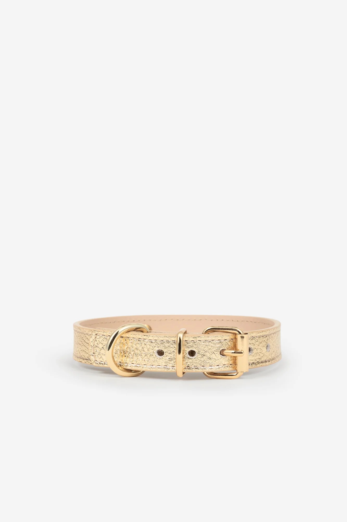 Golden Metal Toy Dog Collar