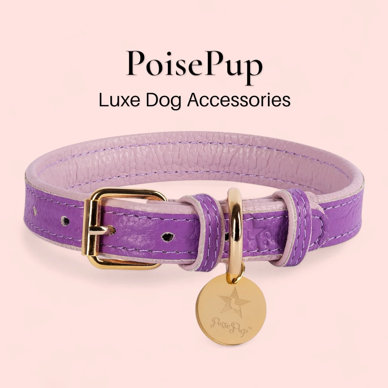 Handcrafted Leather Dog Collar