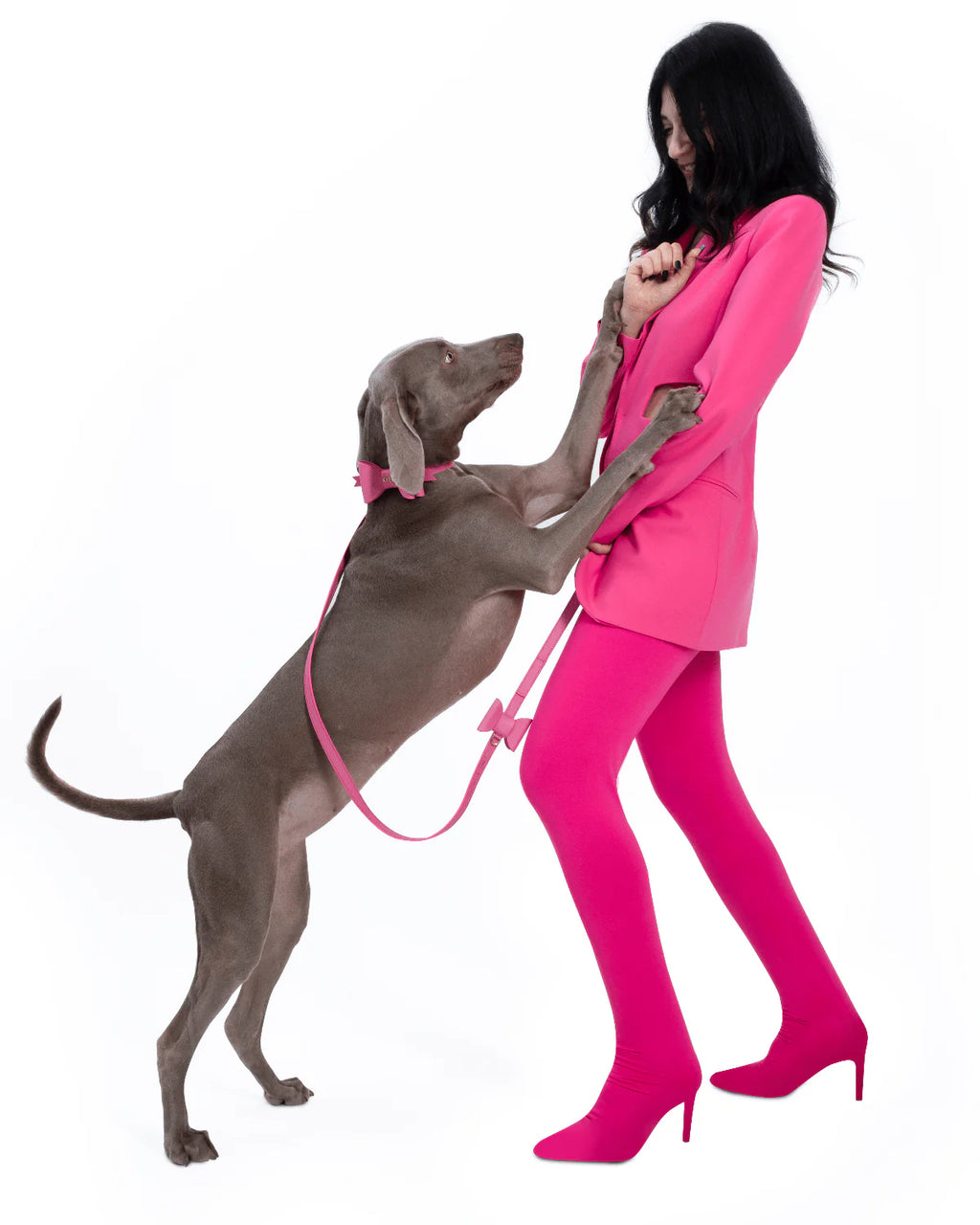 The Pink Bow Dog Collar 