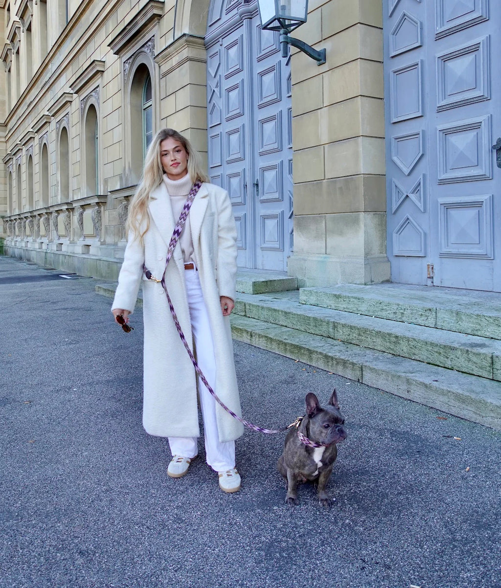 Dog Leash Chevron Violet