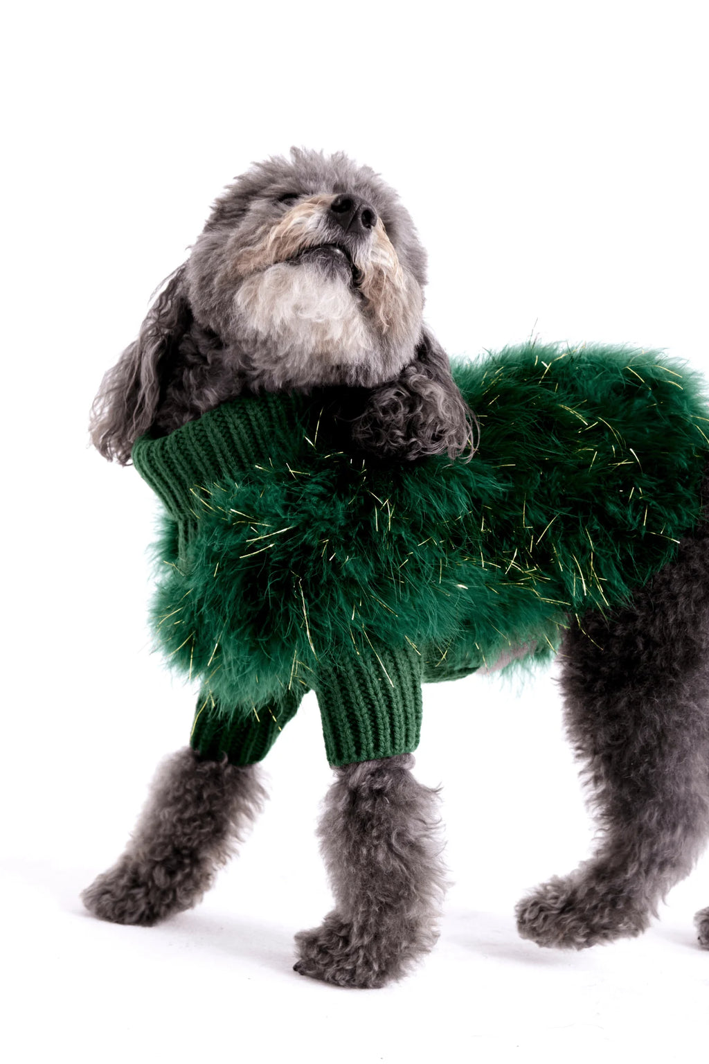 Christian Cowan Holiday Glitz Jumper