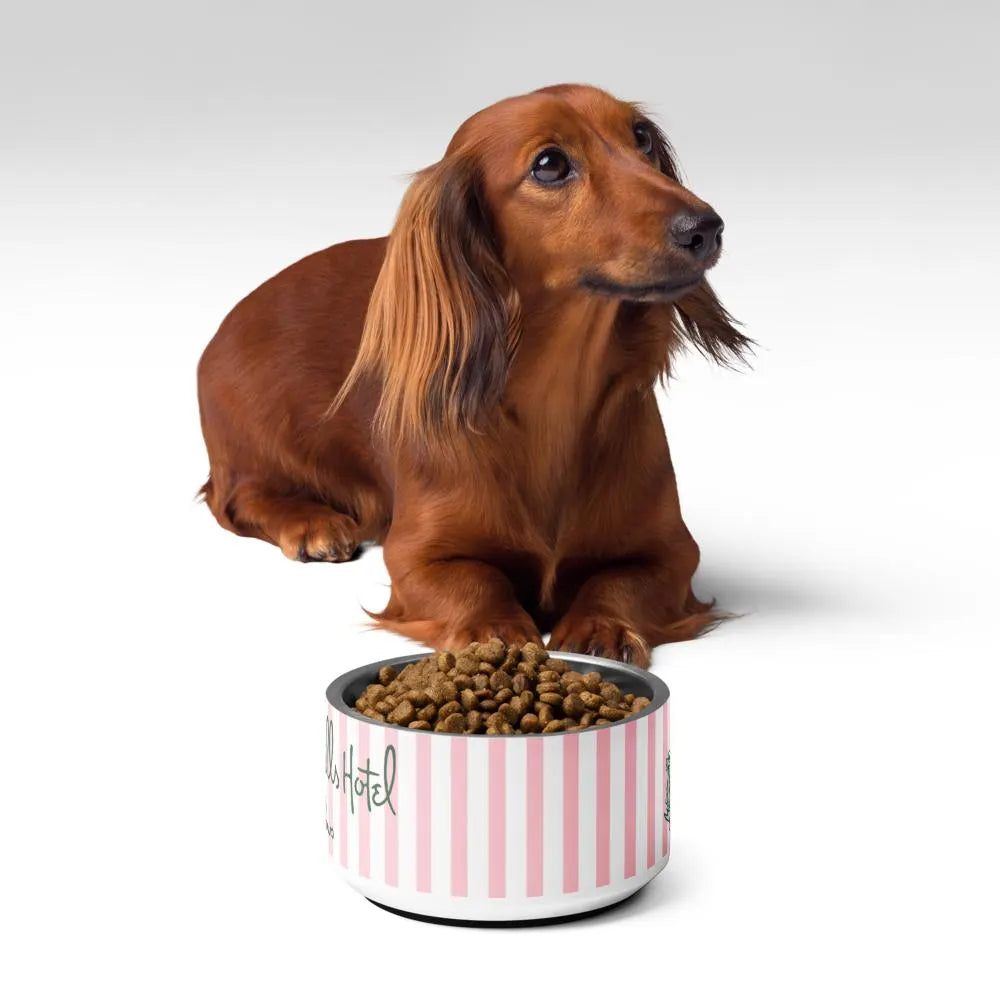 The Beverly Hills Pet Bowl 
