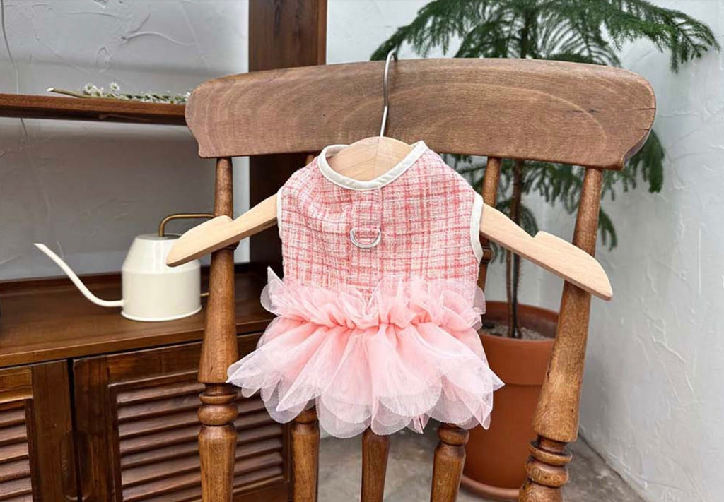 Tutu Harness Dress