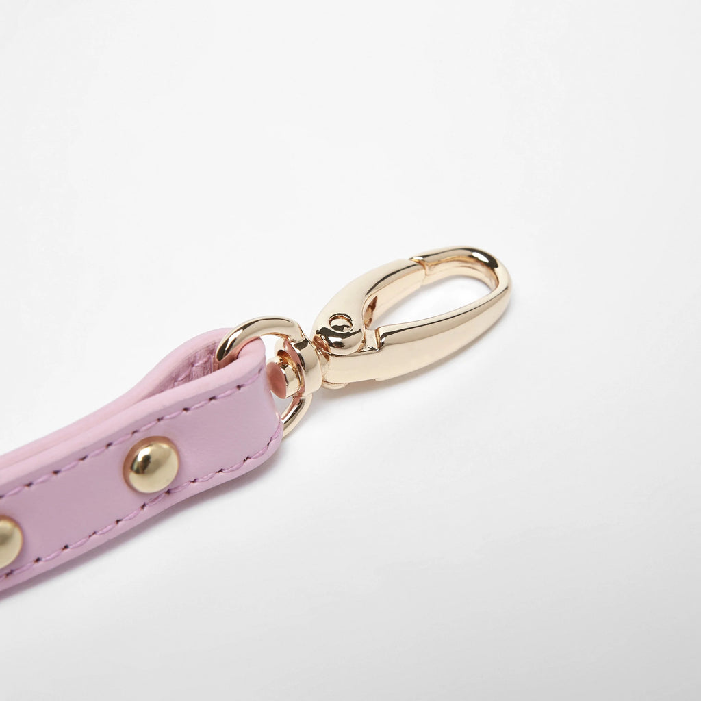 Smooth Leather Lead(Pink)
