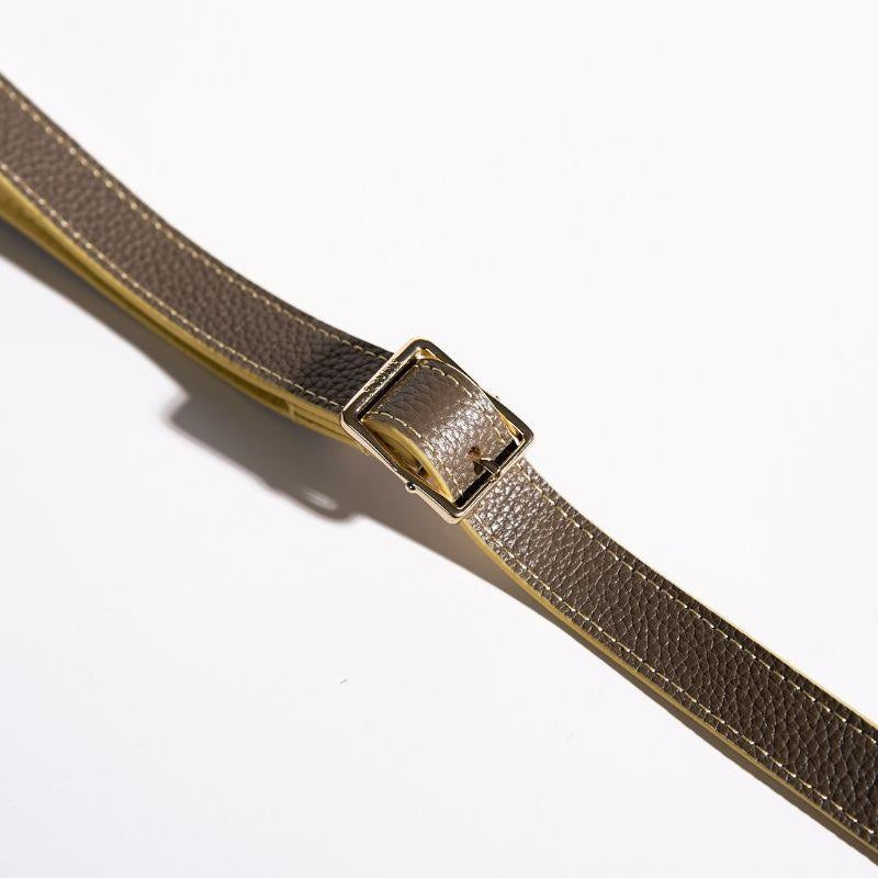 Rosy Leather Dog Leash