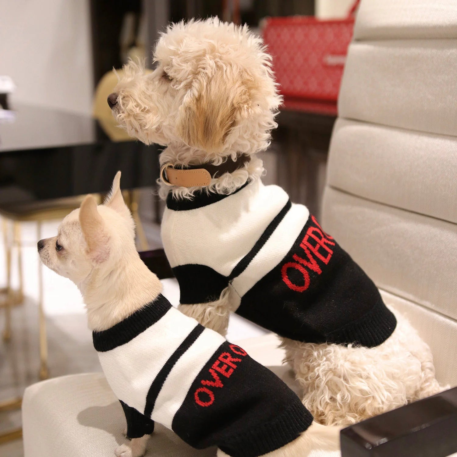 Logo Stripe Jumper (Black)