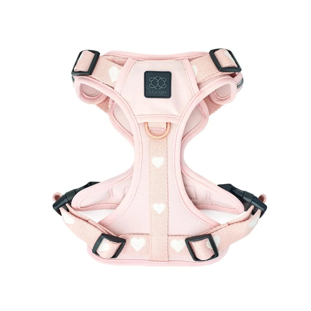 Nomad Adjustable Dog Walking Set - Sweetheart