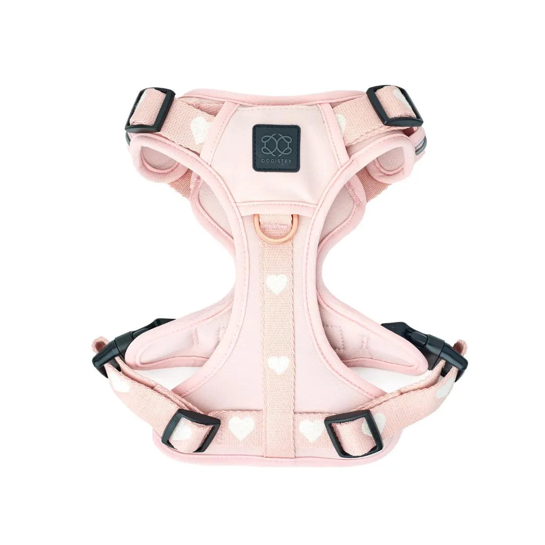 Nomad Adjustable Dog Walking Set - Sweetheart