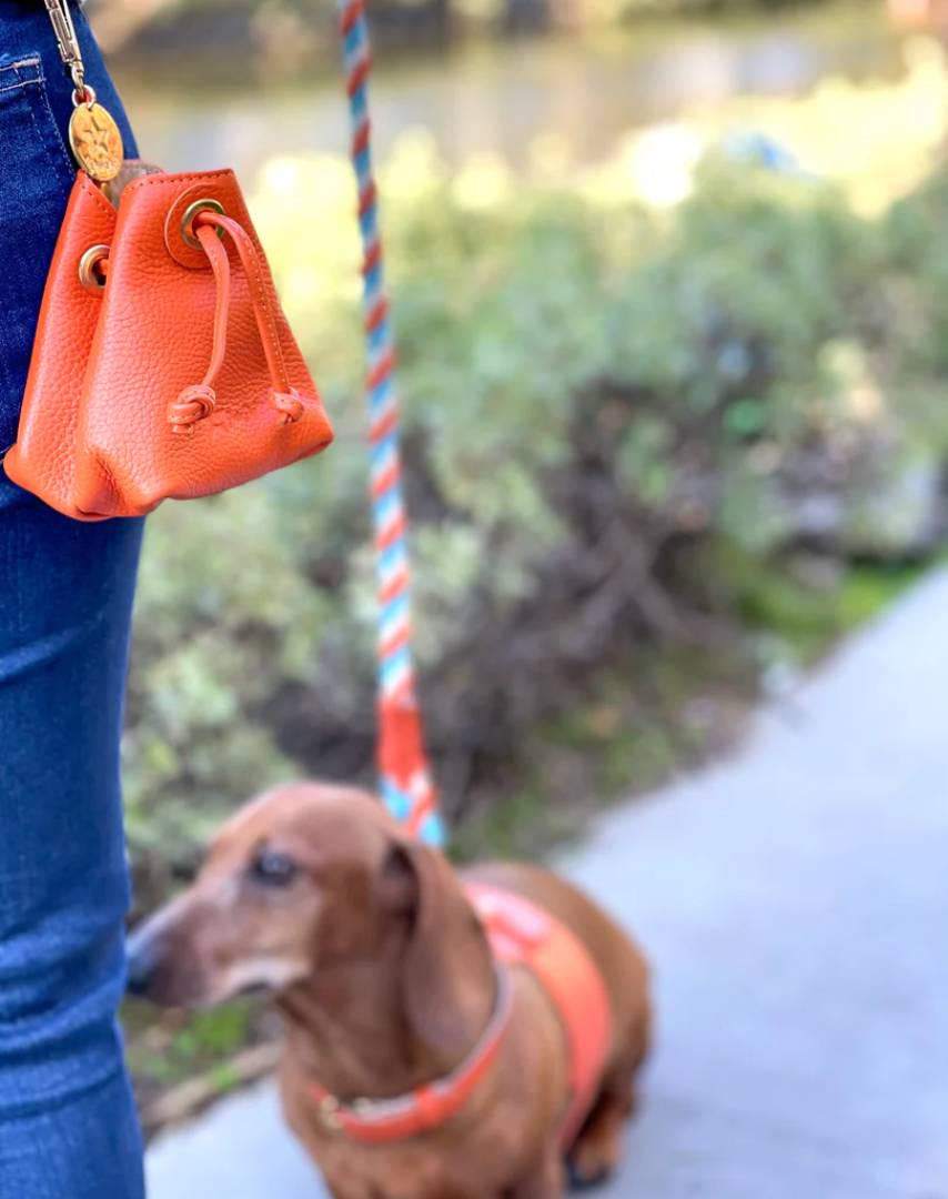 Luxe Leather Treat & Training Pouch