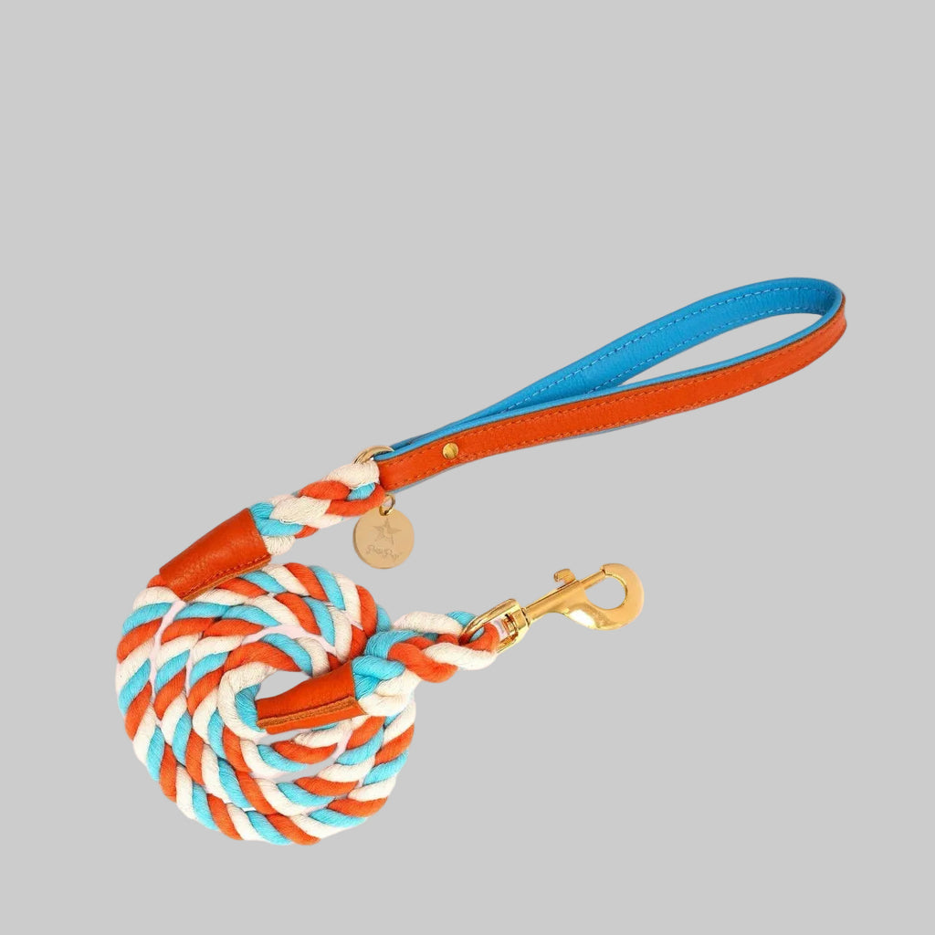 The Braided Rope Leather-Handle Leash