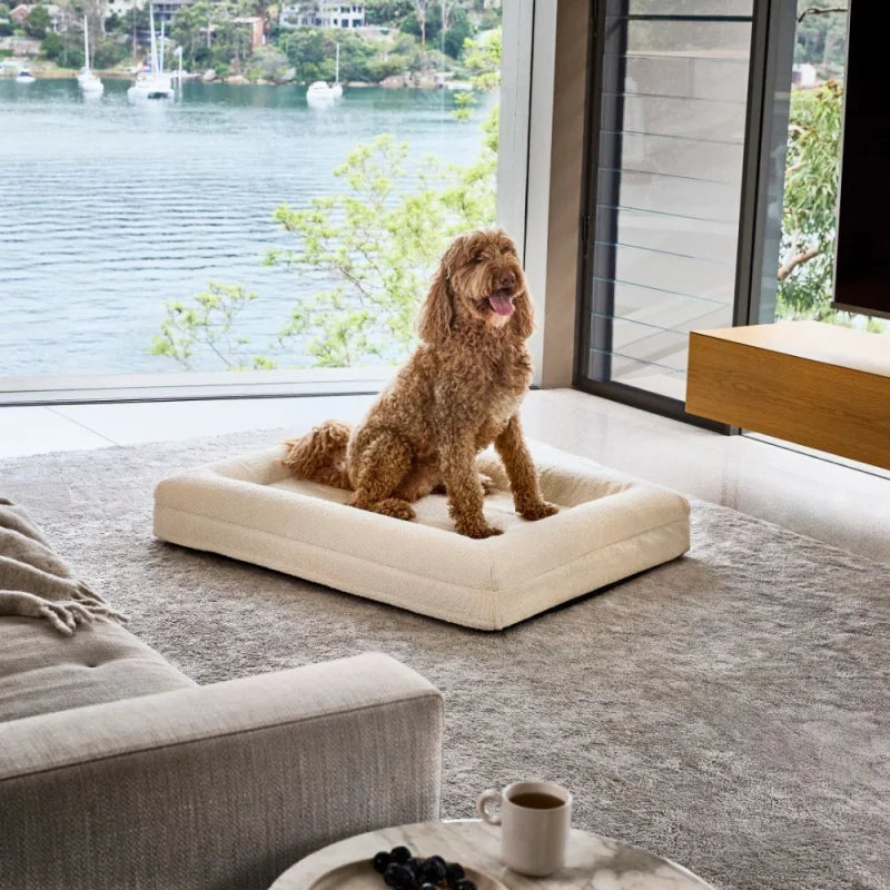 Memory Foam Dog Bed - Bouclé Ivory