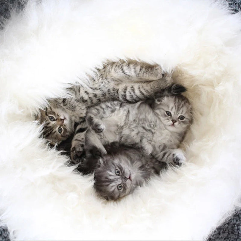 Merino Sheepskin Pet Bed , Cat Cave , Dog Bed , Cat House ,Pet Furniture Hand Made - Genuine Real Sheepskin - Creamy White