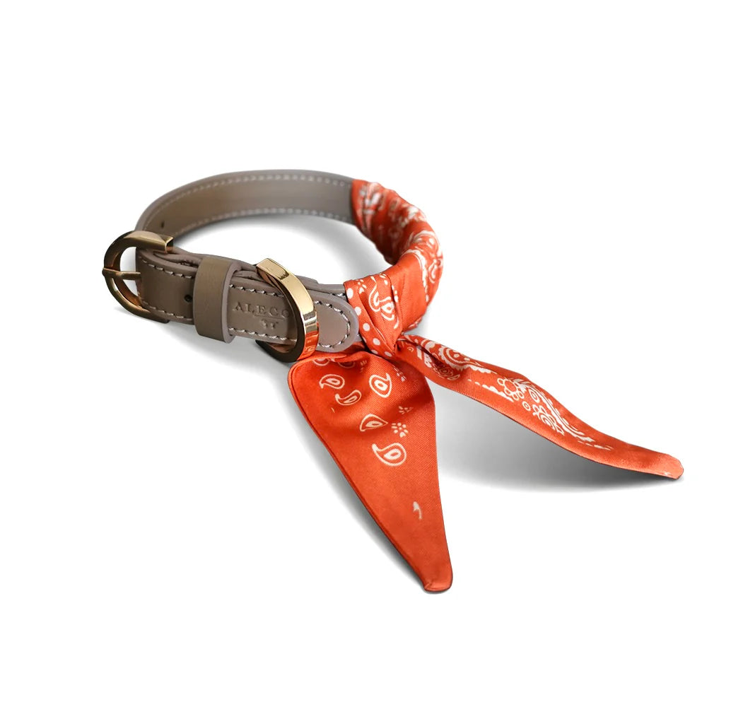 Dog Collar Twilly Paisley - Orange