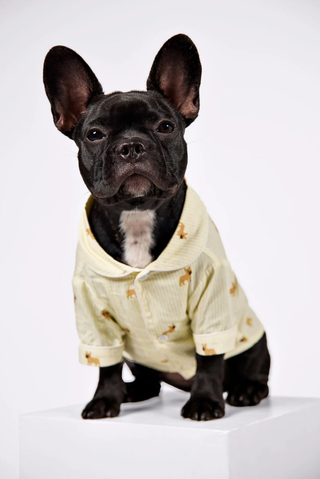 Frenchie Dog Pajama Shirt – Yellow & White
