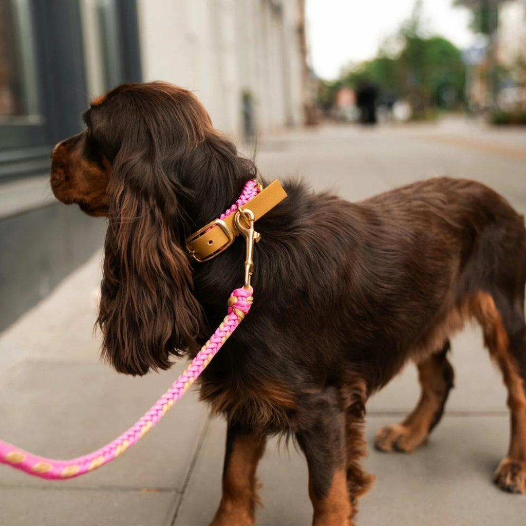 Flor Bubblegum Leash