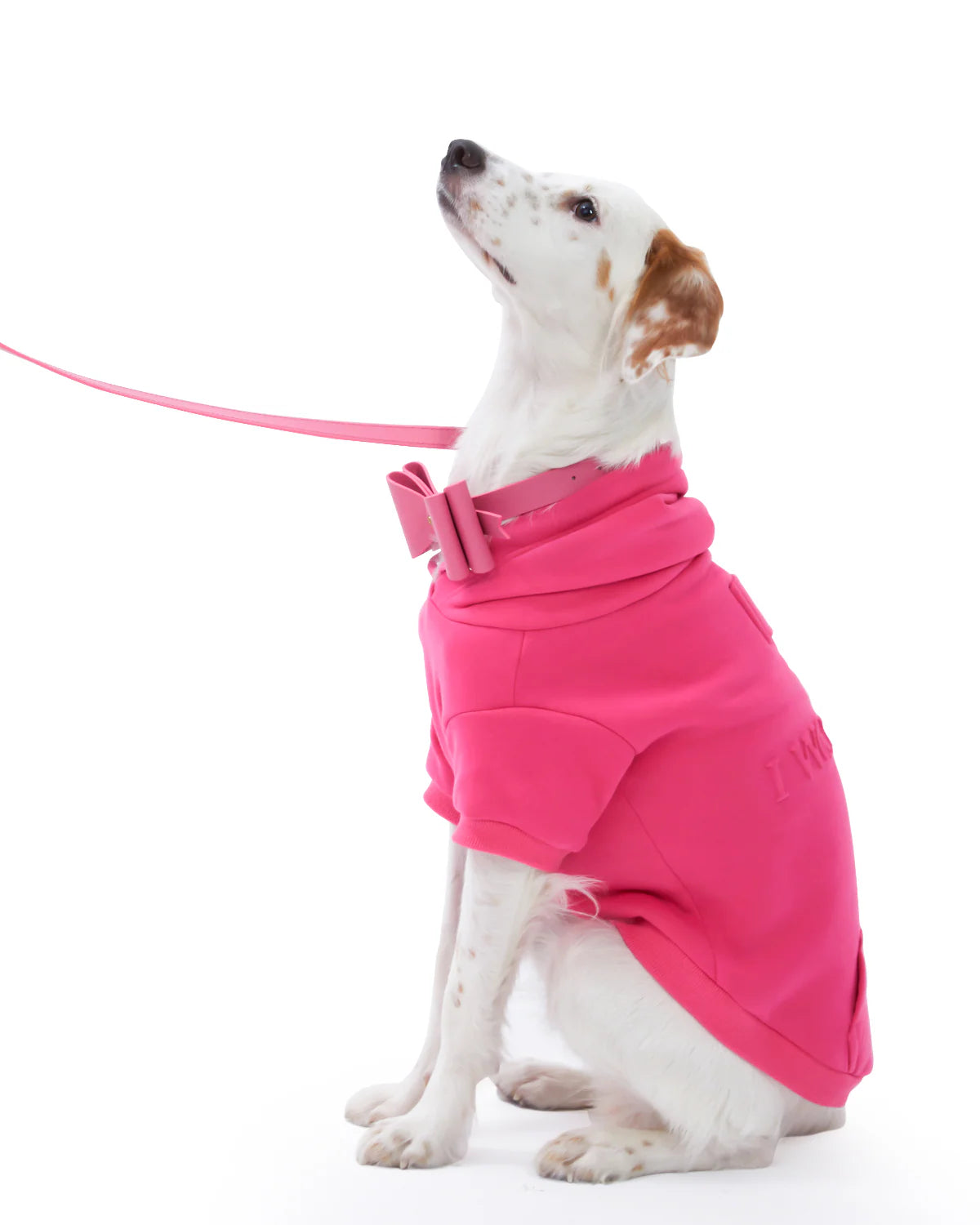 Metapink Bow Dog Collar